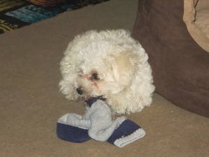 He really likes socks